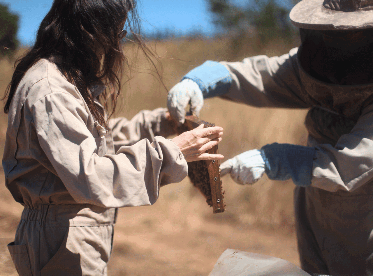 Dos personas trabajando en planta eólica con abejas